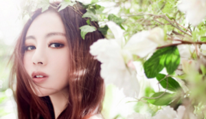 番禺古韵遇茶香，这家小馆藏着大世界